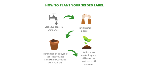 how to plant your seeded paper (700 × 700 px) (1)